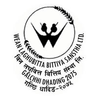 WEAN Laghubitta Bittiya Sanstha Limited
